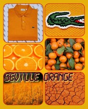 Lacoste Polo Shirt Seville