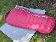 Marmot atom goose - atom,