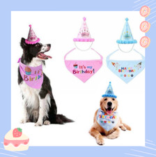 Dog Birthday Hat & Bandana Set