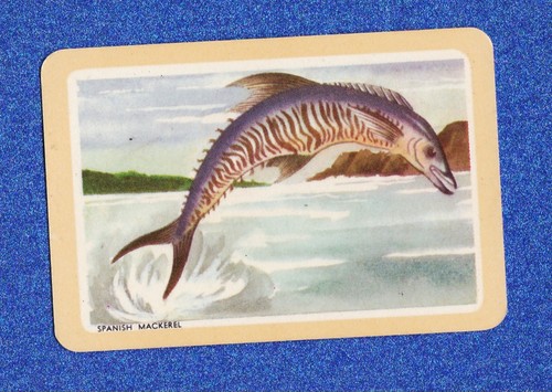 Vintage woolworths fish - fish, swap