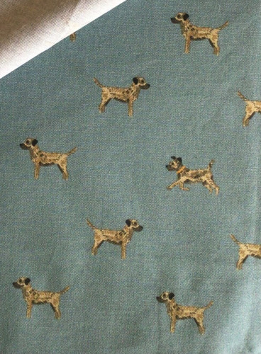 Sophie allport border terrier - border,