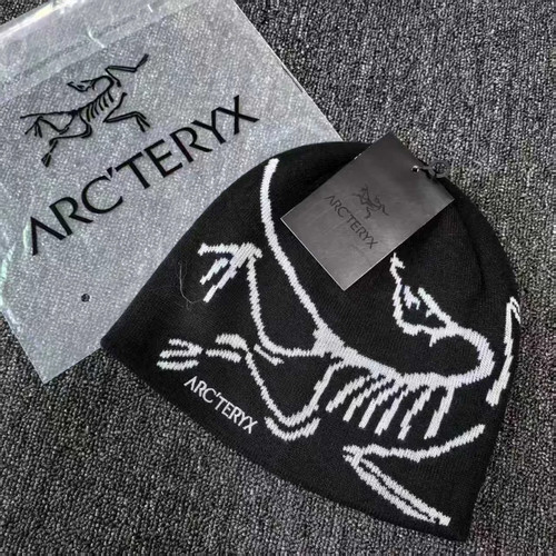 Arc teryx bird head winter - arc'teryx,