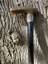 ANTIQUE 1880s Bovine Horn