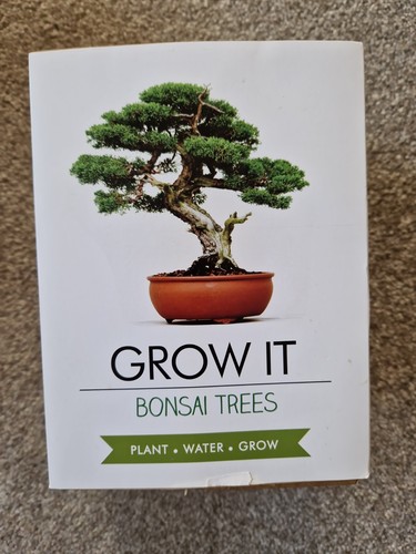 Bonsai tree grow - bonsai,