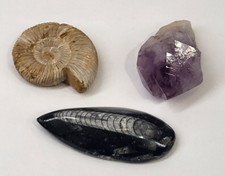 Amethyst Quartz Crystal & 1x Fossil Ammonite 1 Orthoceras Fossil Collectable
