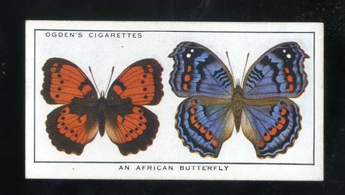 1932 ogdens colour - ogdens,