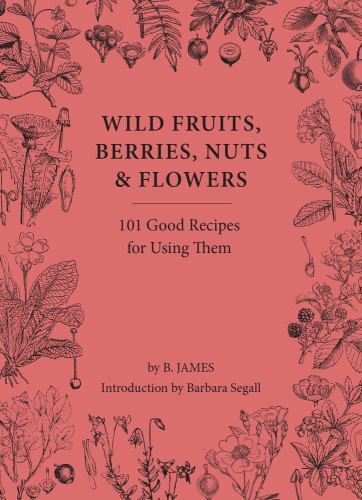 Wild fruits berries nuts and - wild, berries,