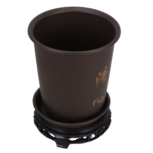 Clivia flowerpot indoor - clivia,