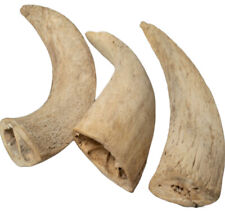 Pack of 3 Loving Pets Water