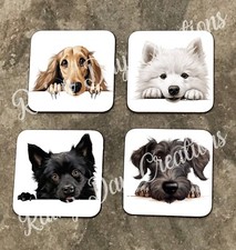 Peeking Dog - 27  Breeds