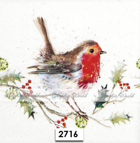 Two paper luncheon - (2716),