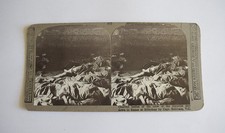 WW1 Stereoview NO67 CREW OF ZEPPELIN SHOT DOWN OVER BILLERICAY C1918 3D Photo