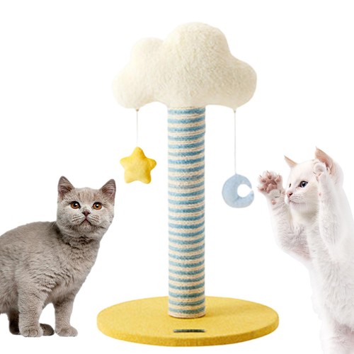 Cat climbing tree - cat,