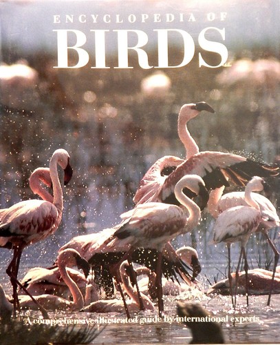 Encyclopedia birds - encyclopedia,