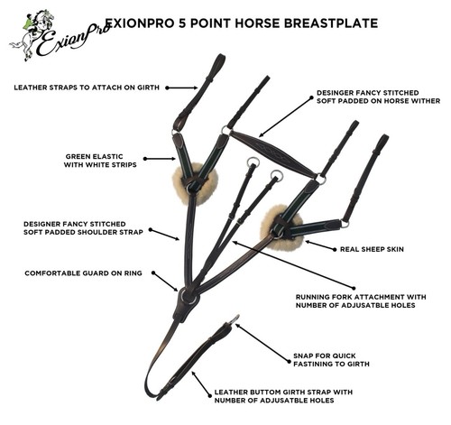 Exionpro point breastplate - point,