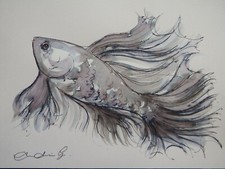 Original Pen & Ink wash drawing of a Siamese Fighting Fish Betta fish