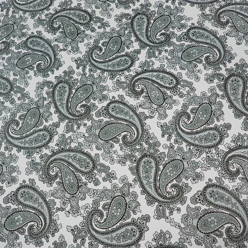 Paisley guitar decal snow - paisley,