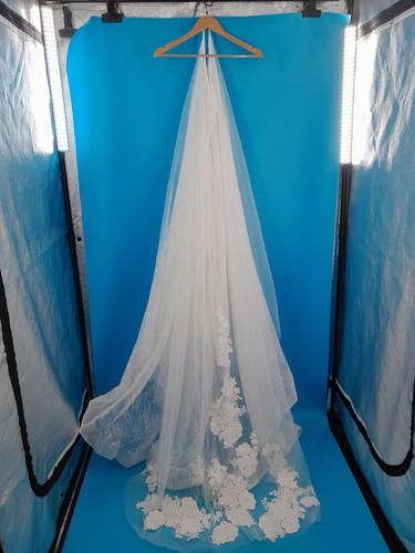 Bridal lace veil - bridal,