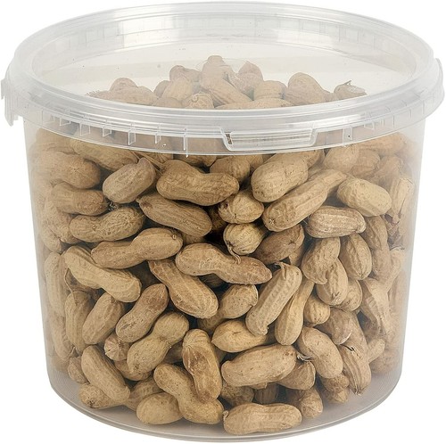 Monkey nuts peanuts shells - peanuts,