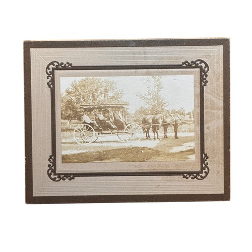 Antique horse drawn carriage - horse,