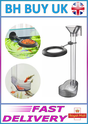 Seahorse fish feeding - /,
