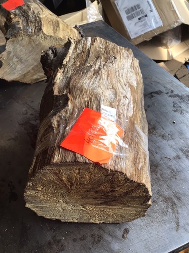 Hornbeam block spalted - hornbeam, block,spalted