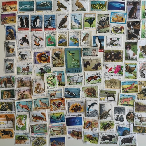 Animals stamps collection - animals,