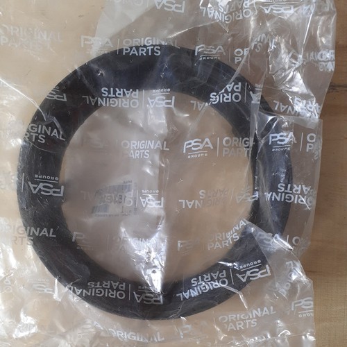 Fuel tank locking ring - fuel,