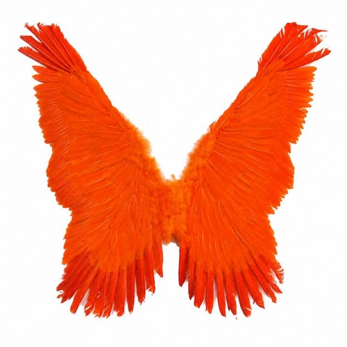 Feather angel wings realistic - feather,