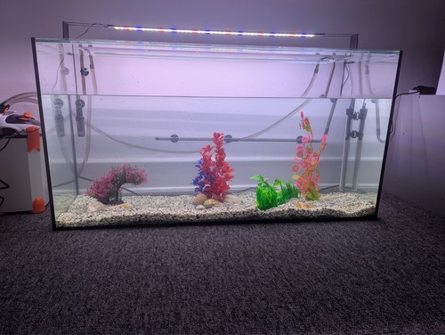 230l aquarium aquaone - aquarium,