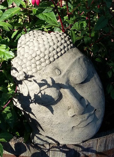 Stone garden zen sleeping - garden,