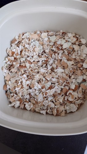 Crushed egg shell - crushed,
