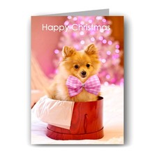 Pomeranian Christmas Card- Dog