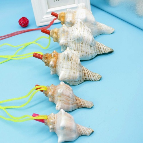 Natural conch horn whistle - natural,