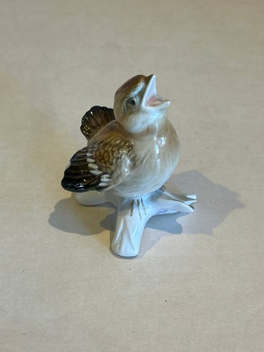 Karl ens sparrow chick - karl,