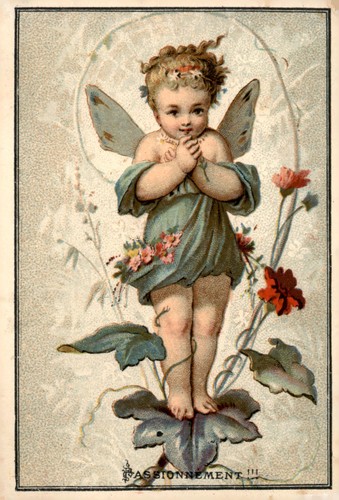 Buscs vintage french - french, postcard