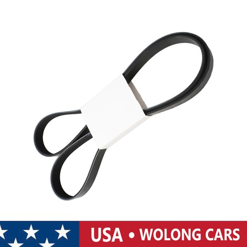 Serpentine belt for passat - belt, vw