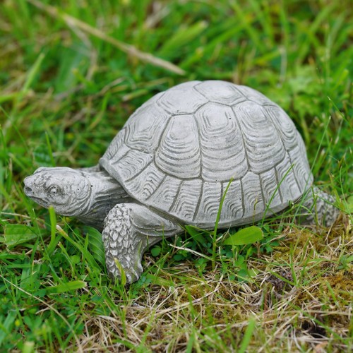 Tortoise stone statue - tortoise,