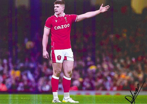 Dafydd jenkins wales rugby - wales,