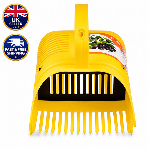 Blueberry berry picker rake - berry,