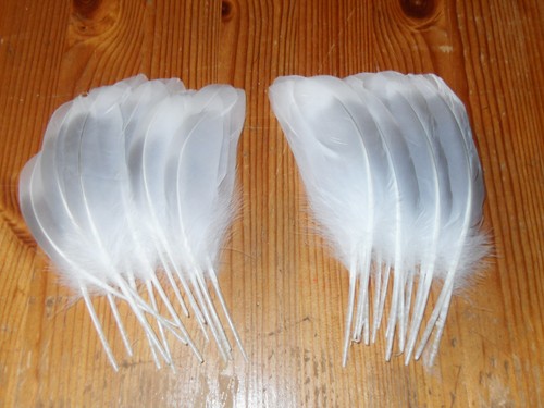 Seagull wing feathers 5 - 30,