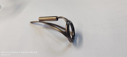 Gun metal grey carp pike - gun,
