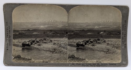 Hermon palestine - mt.,