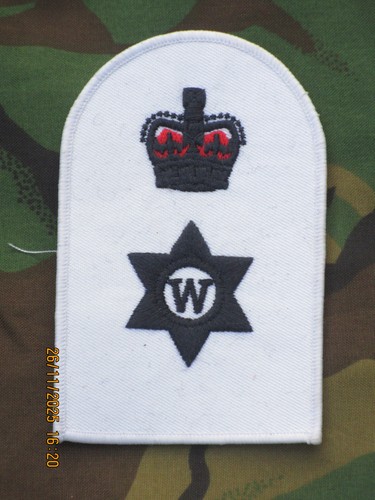 Royal navy badge - navy,