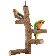 Birds wooden cockatiel conure - cockatiel,