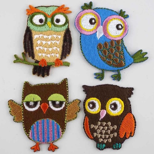 Bird watcher wizard night - bird,