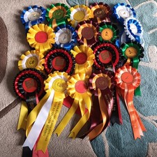 20 used Rosettes - job lot - crafting 