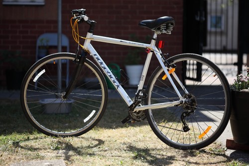 Ridgeback supernova hybrid - supernova, 19"