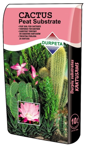 Cactus premium soil - cactus, compost