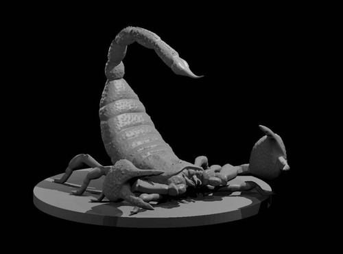 Giant scorpion for - scorpion, d&d